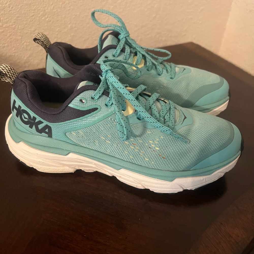 Hoka Teal and Navy Running Shoes